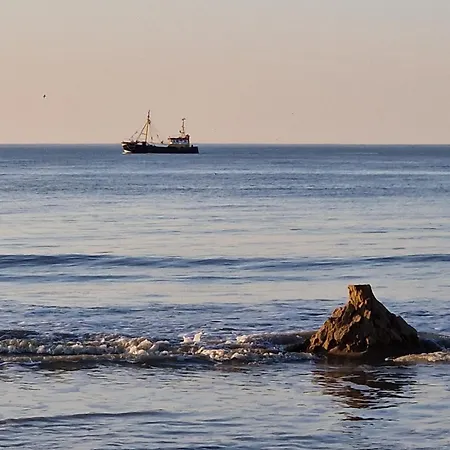 Orchidee - Incl. Privé Parking